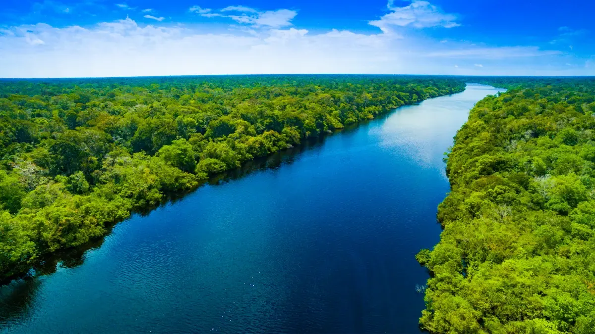 21º Aniversário do Estrelas do Araguaia em 2024