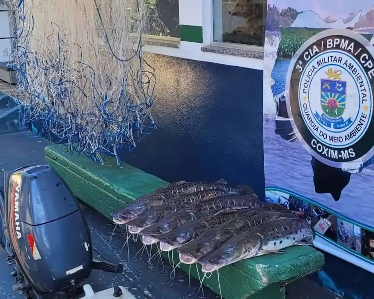 Pescadores são presos por pesca ilegal no Rio Taquari, Coxim